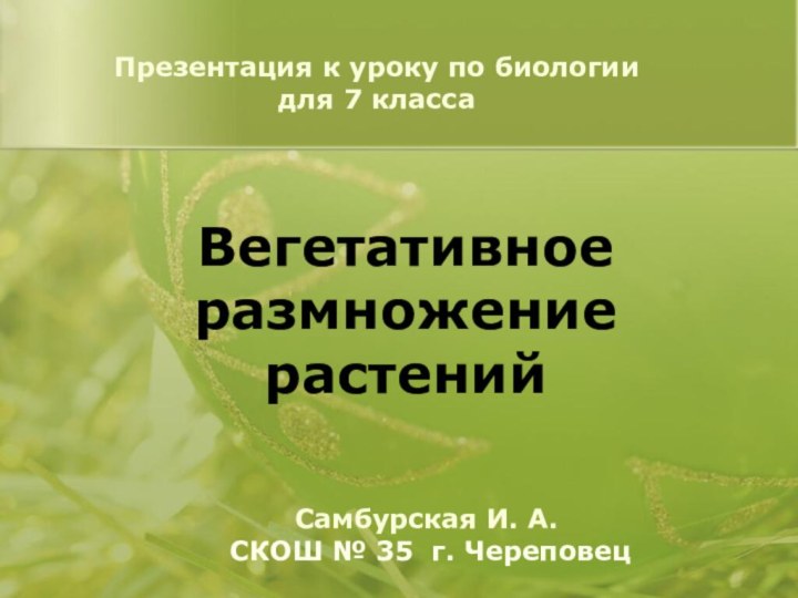 Презентация к уроку по биологиидля 7 класса Вегетативное размножение растенийСамбурская И. А.
