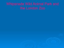 Презентация по теме “Уипснейдский заповедник и Лондонский зоопарк”.