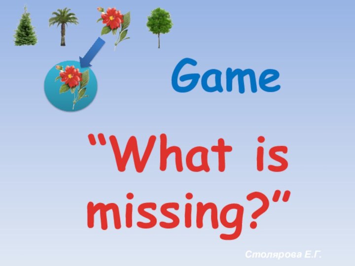 Game“What is missing?”Столярова Е.Г.