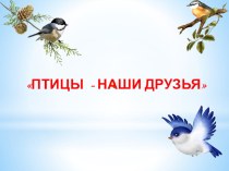 Презентация Птицы - наши друзья