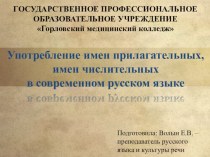 Употребление имён прилагательных, числительных в современном русском языке