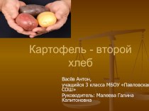 Презентация по окружающему миру на тему Картофель - второй хлеб