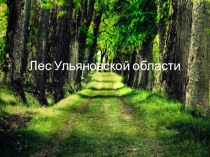 Презентация по окружающему миру на тему Лес Ульяновской области