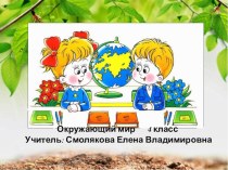 Презентация к уроку Природные зоны России. Зона смешанных и широколиственных лесов.