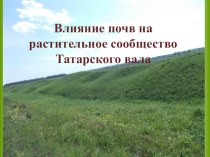 Презентация исследовательской работы на тему Влияние почв на растительное сообщество Татарского вала