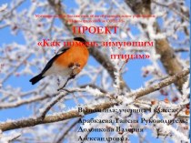 Проект  Как помочь птицам зимой