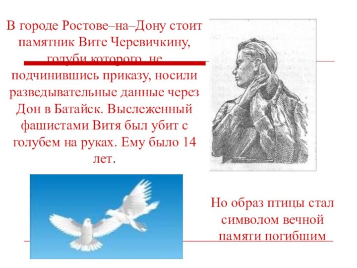 В городе Ростове–на–Дону стоит памятник Вите Черевичкину, голуби которого, не подчинившись приказу,