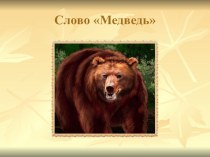 Презентация по русскому языку на тему Знакомство с новым словарным словом медведь (2 класс)