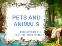 Презентация по английскому языку на тему Домашние и дикие животные (2 класс)
