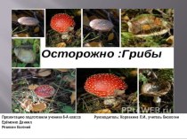 Презентация по биологии на тему :  Ядовитые грибы