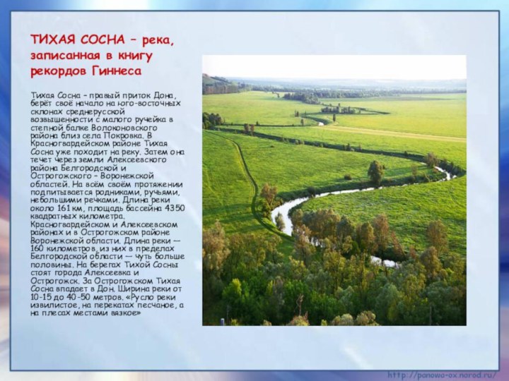 ТИХАЯ СОСНА – река, записанная в книгу рекордов ГиннесаТихая Сосна –