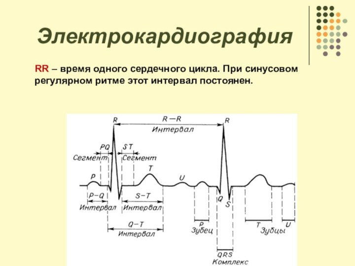 Электрокардиография   RR – время одного сердечного цикла. При синусовом регулярном ритме этот интервал постоянен.
