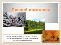 Тест презентация на тему: Лесной комплекс