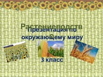 Презентация по окружающему миру на тему Растениеводство (3 класс)