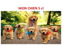 Презентация по французскому языку на тему Mon chien (5 класс)