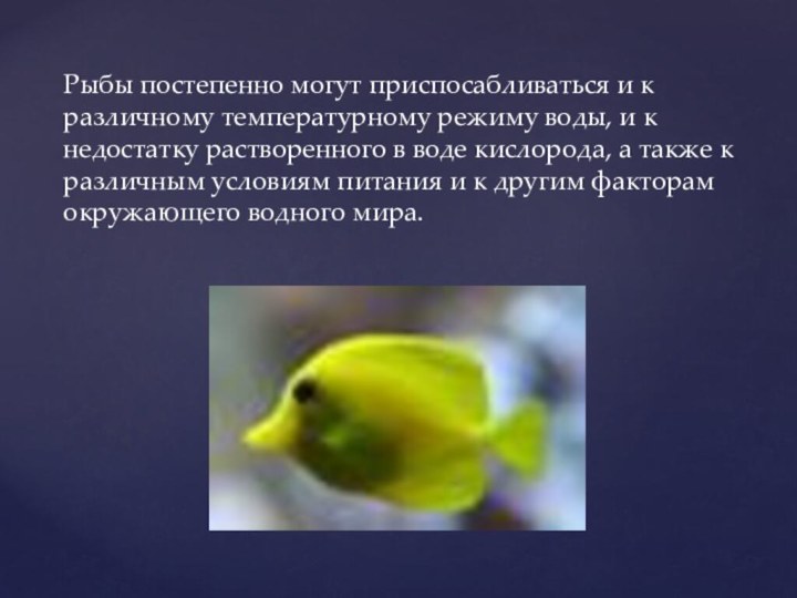 Рыбы постепенно могут приспосабливаться и к различному температурному режиму воды, и к