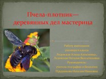 Презентация по экологии Пчела-плотник-деревянных дел мастерица
