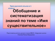 Презентация по русскому языку на тему  Обобщение и систематизация знаний по теме Имя существительное