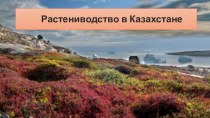 Презентация по географии на тему Растениеводство Казахстана