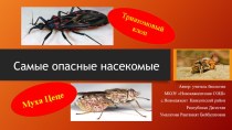 Презентация Самые опасные насекомые (для учащихся 7 классов)