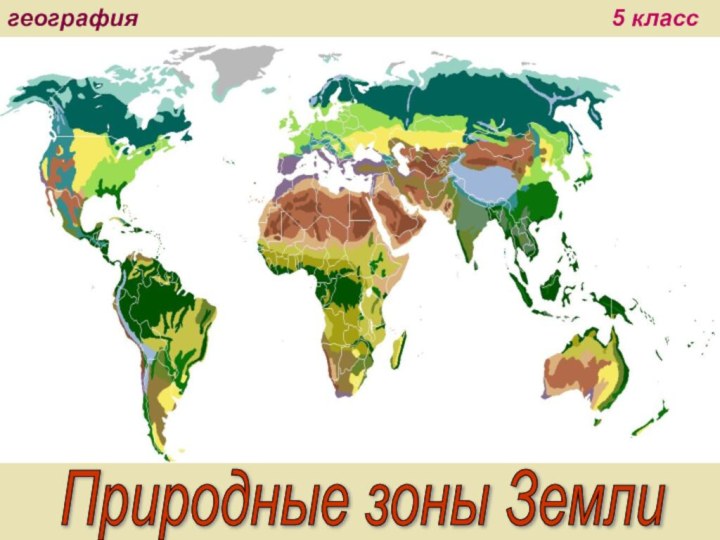 география 5 классПриродные зоны Земли