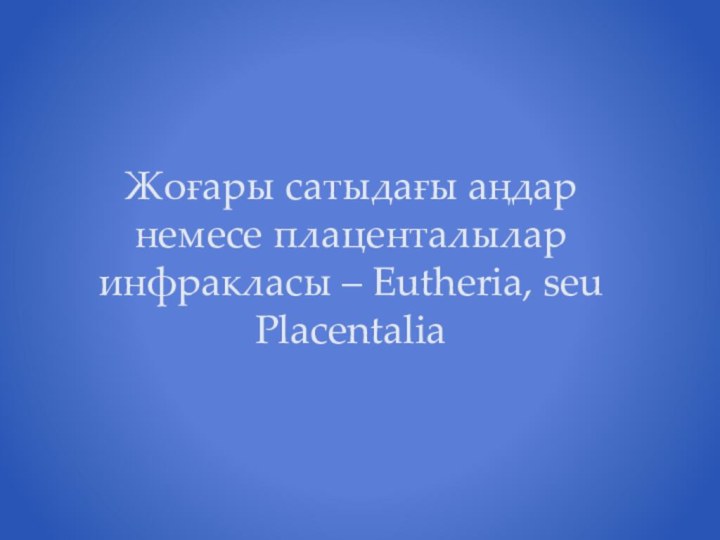 Жоғары сатыдағы аңдар немесе плаценталылар инфракласы – Eutheria, seu Placentalia