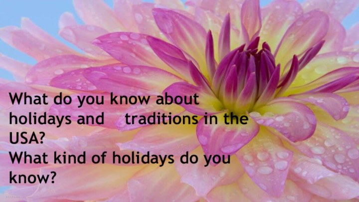 What do you know about holidays and  traditions in the USA?What