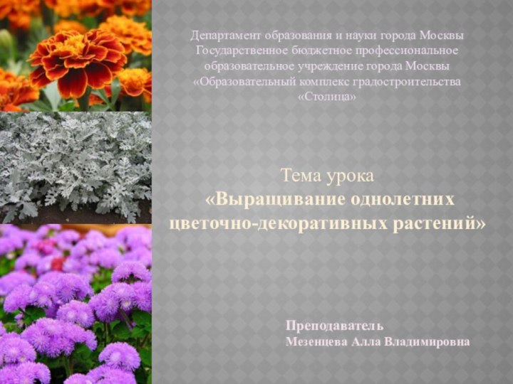 ПреподавательМезенцева Алла ВладимировнаТема урока «Выращивание однолетних цветочно-декоративных растений»Департамент образования и науки города