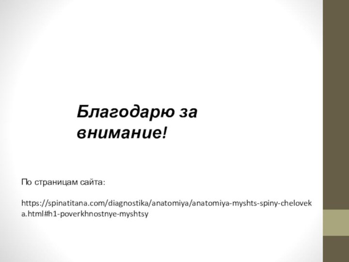 По страницам сайта: https://spinatitana.com/diagnostika/anatomiya/anatomiya-myshts-spiny-cheloveka.html#h1-poverkhnostnye-myshtsyБлагодарю за внимание!