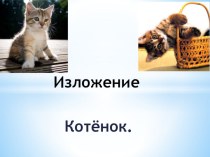 Презентация по русскому языку для 2 класса на тему  Изложение  Котёнок