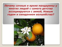 Почему сочные и яркие мандарины у многих людей с самого детства ассоциируются с зимой, Новым годом и ожиданием волшебства?