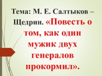 Презентация по литературе. М.Е. Салтыков-Щедрин. Жизнь и творчество.