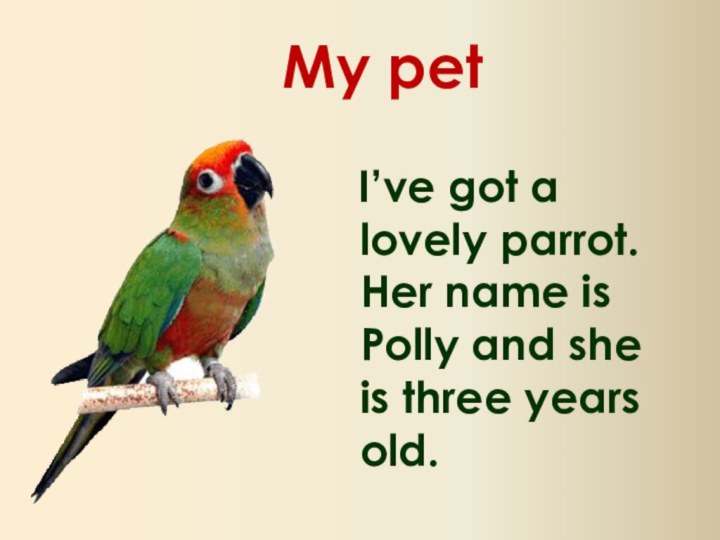 My pet  I’ve got a lovely parrot. Her name