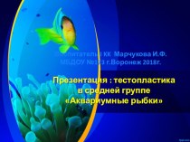Презентация : тестопластика в средней группе Аквариумные рыбки