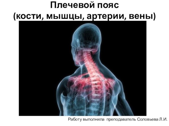 Плечевой пояс  (кости, мышцы, артерии, вены) Работу выполнила преподаватель Соловьева Л.И.