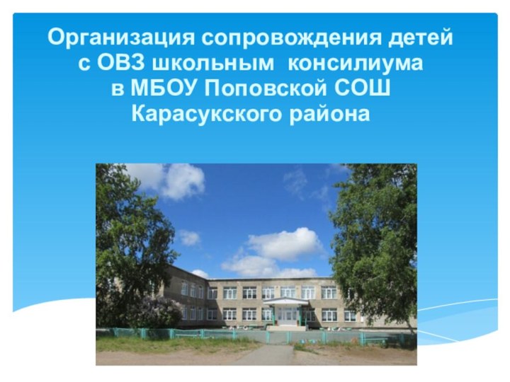 Организация сопровождения детей с ОВЗ школьным консилиума в МБОУ Поповской