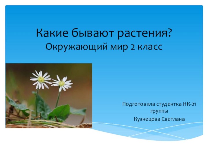 Какие бывают растения? Окружающий мир 2 классПодготовила студентка НК-21 группыКузнецова Светлана