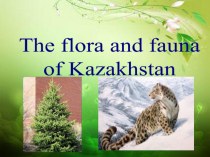 Презентация по английскому языку на тему The fauna and flora of Kazakhstan