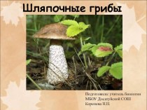 Презентация по биологии для 5 класса на тему Шляпочные грибы