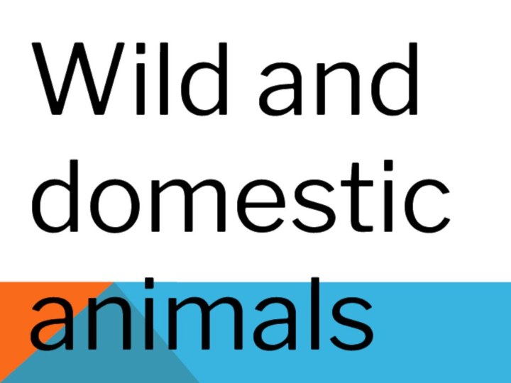 Wild and domestic animals
