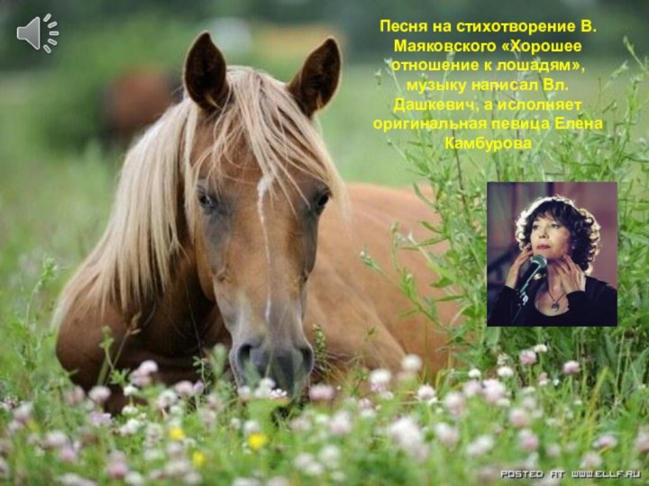 Песня на стихотворение В.Маяковского «Хорошее отношение к лошадям», музыку написал Вл.Дашкевич, а