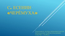 Проект по литературному чтению на тему С.Есенин Черемуха (3 класс)