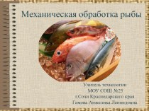 Пезентация к уроку технологии:  Механическая обработка рыбы