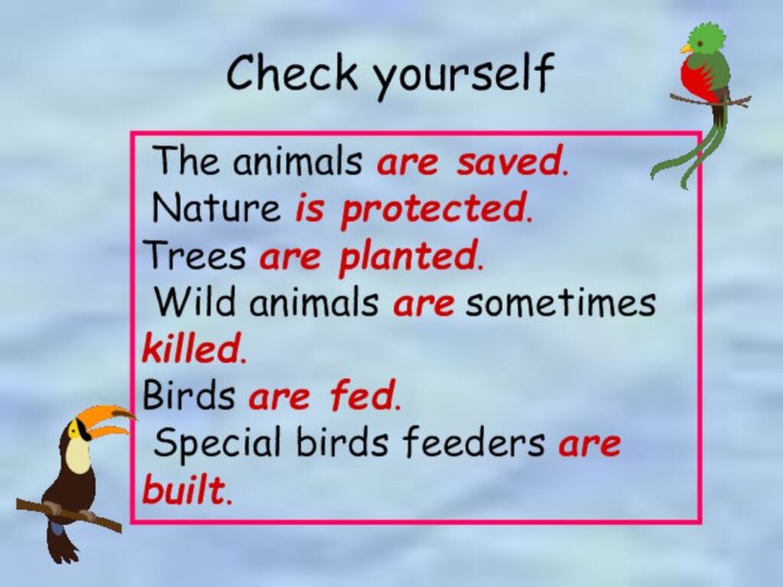 Check yourself The animals are saved. Nature is protected.   Trees