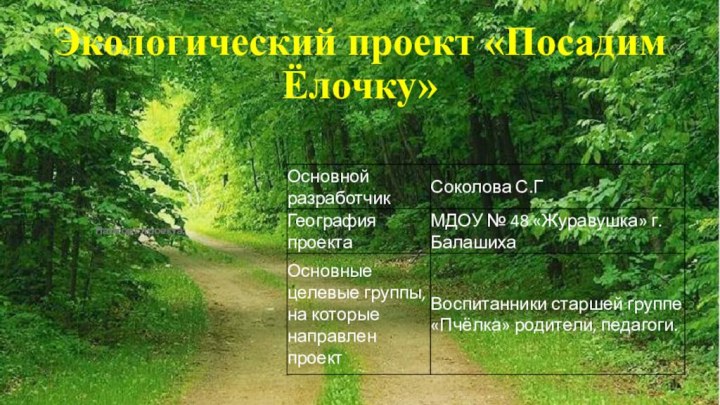 Экологический проект «Посадим Ёлочку» Паспорт проекта: