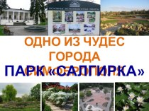 Презентация Одно из чудес города Симферополя - парк Салгирка