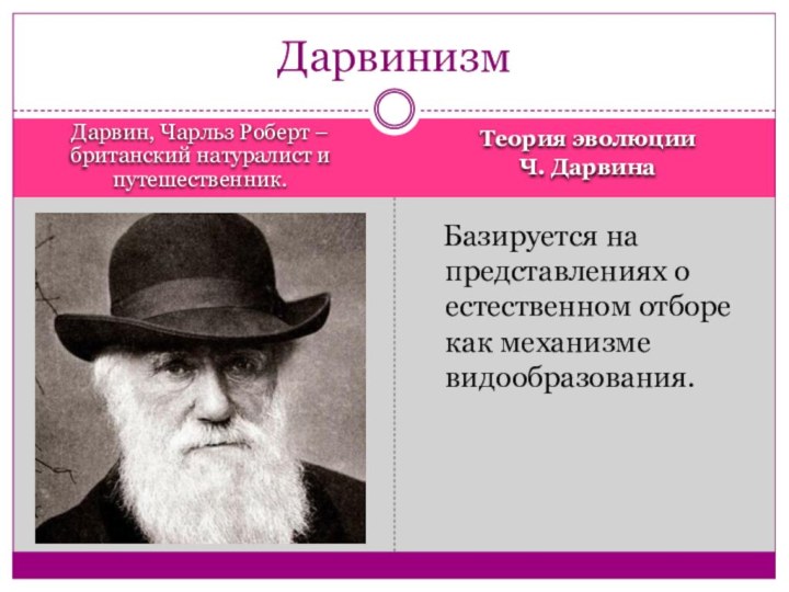 Дарвин, Чарльз Роберт – британский натуралист и путешественник. Теория эволюции Ч. Дарвина