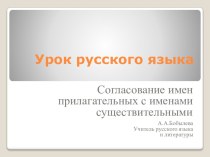 Презентация по русскому языку Согласование прилагательного и существительного