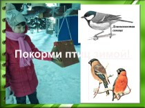 Презентация в ДОУ Покорми птиц зимой!