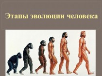 Презентация по биологии на тему Этапы эволюции человека